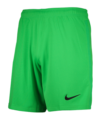 Nike Promo GK-Short green
