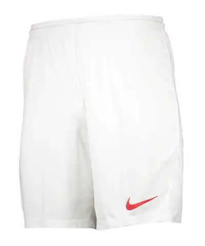 Nike Park III Short
