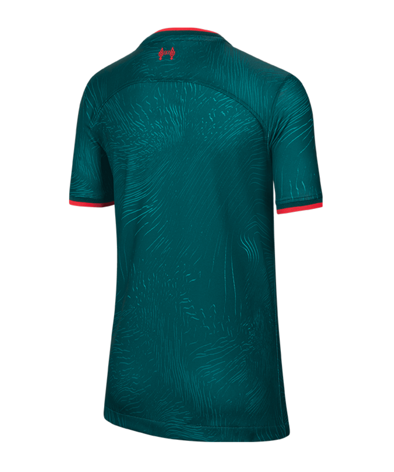 Throwbacks, 'green spark' and sponsors - All we know about Liverpool kits  for 2023/24 - Liverpool FC - This Is Anfield