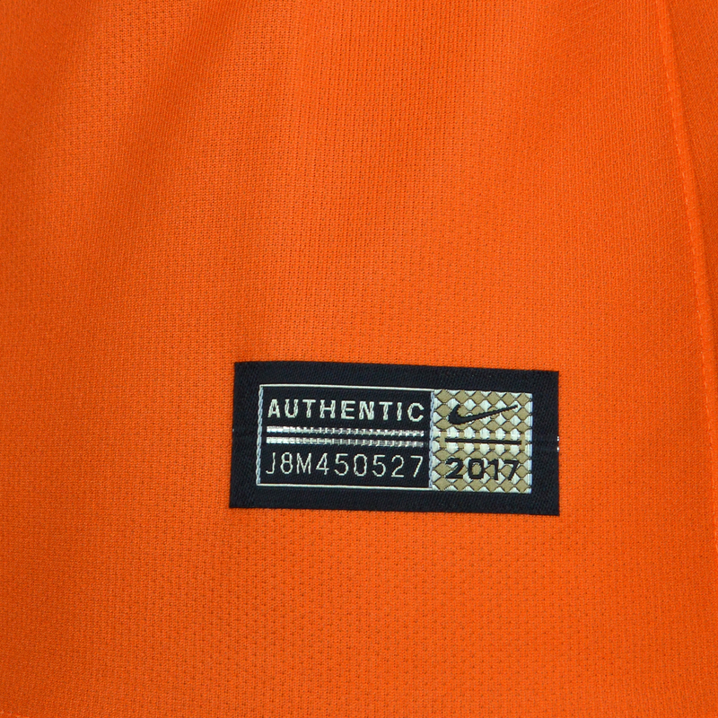 Nike Promo GK-Jersey l/s (orange)