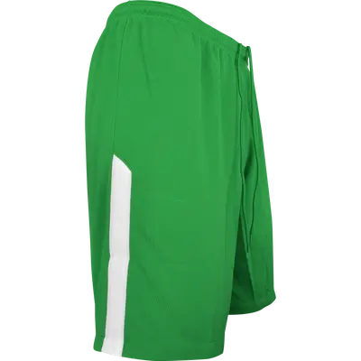 Nike Promo GK-Short (green)