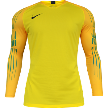 Nike Promo GK-Shirt l/s