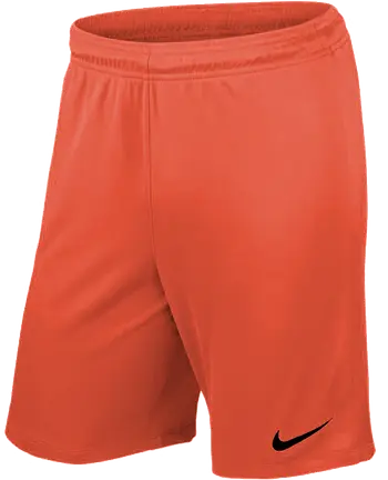 Nike Promo GK-Shorts
