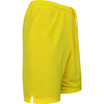 Nike Promo GK-Shorts
