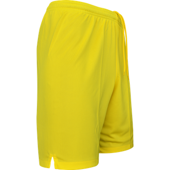 Nike Promo GK-Shorts