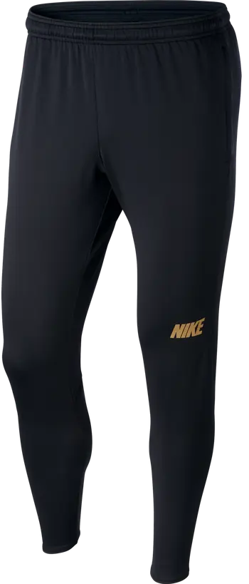 Nike Dry Squad Pants