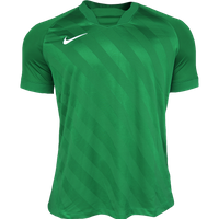 Nike Men's Goalie III Jersey - BV6714-398 - Green