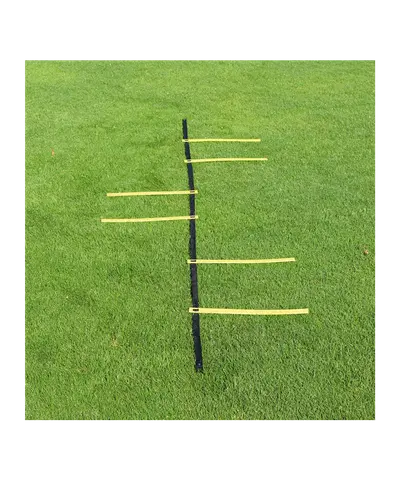 Cawila Goalkeeper Ladder & Bag 6 Sprossen