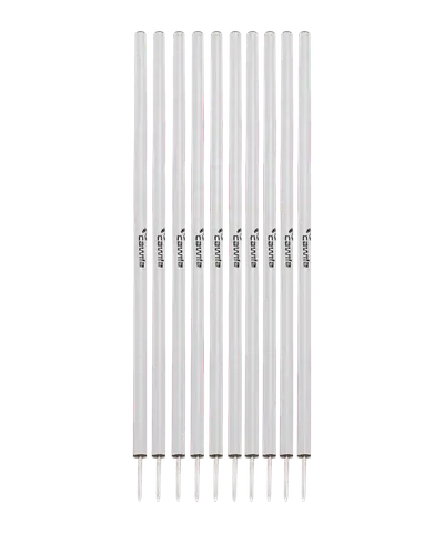 Cawila Slalom L 10Stk d33mm 160cm&13cm Spitz