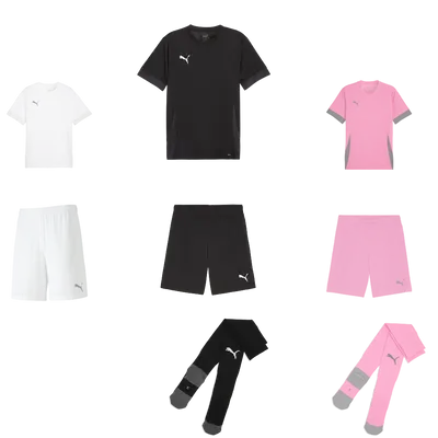 PUMA teamGOAL Matchday Trikotset