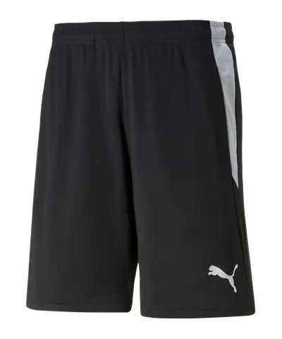 PUMA teamLIGA Schiedsrichter Short Schw