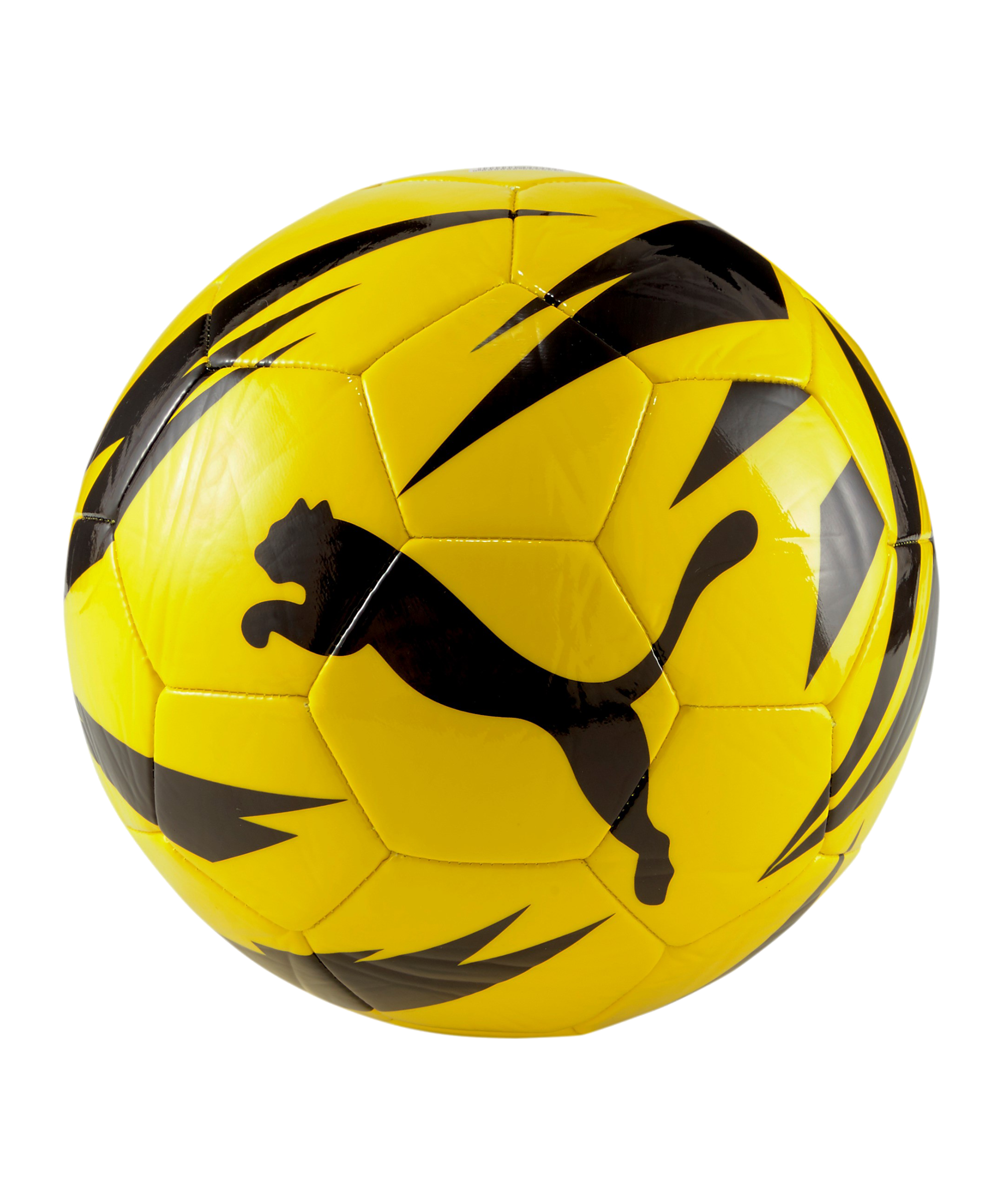 Fans ball. Футбольный мяч Puma BVB. Puma Borussia мяч. BVB Fan Ball Puma. Мяч футбольный Puma 083631 Yellow+Black+Silver.