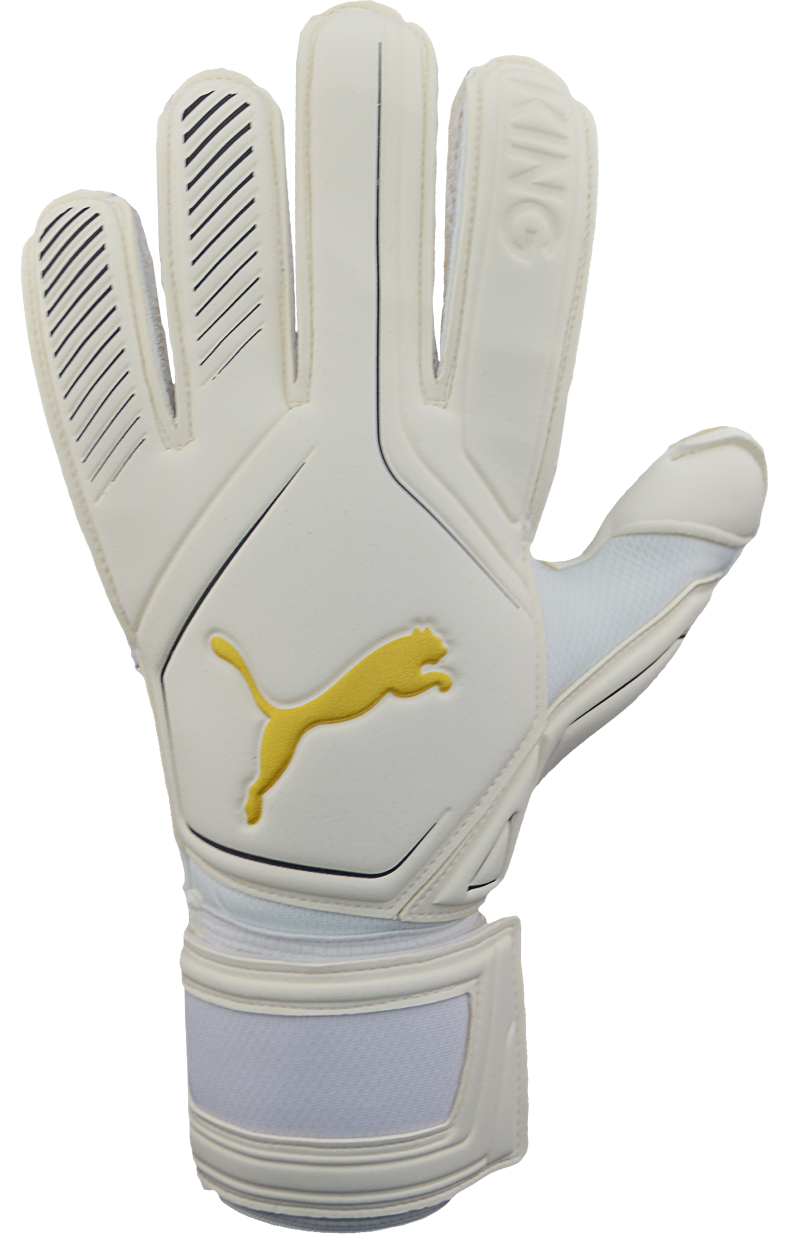 puma king rc