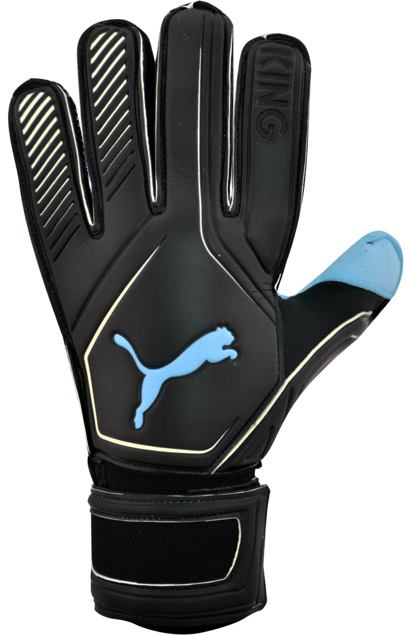 puma king rc