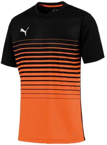 PUMA Football GK-Shirt (orange/black)