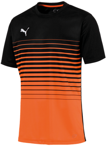 PUMA Football GK-Shirt (orange/black)