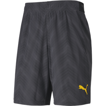 PUMA ftblNXT Graphic Short