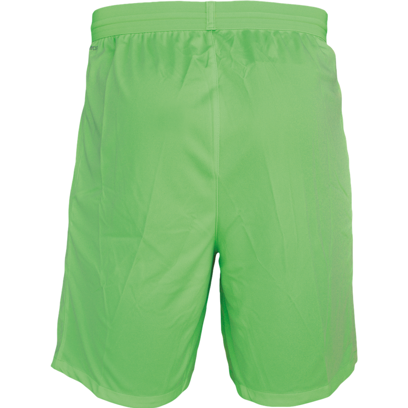 PUMA teamFINAL 21 Knit Short Verde