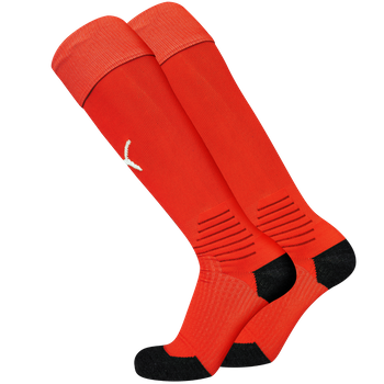 PUMA LIGA Socks Socks