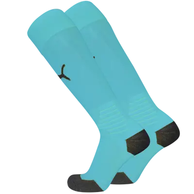 PUMA LIGA Socks Socks