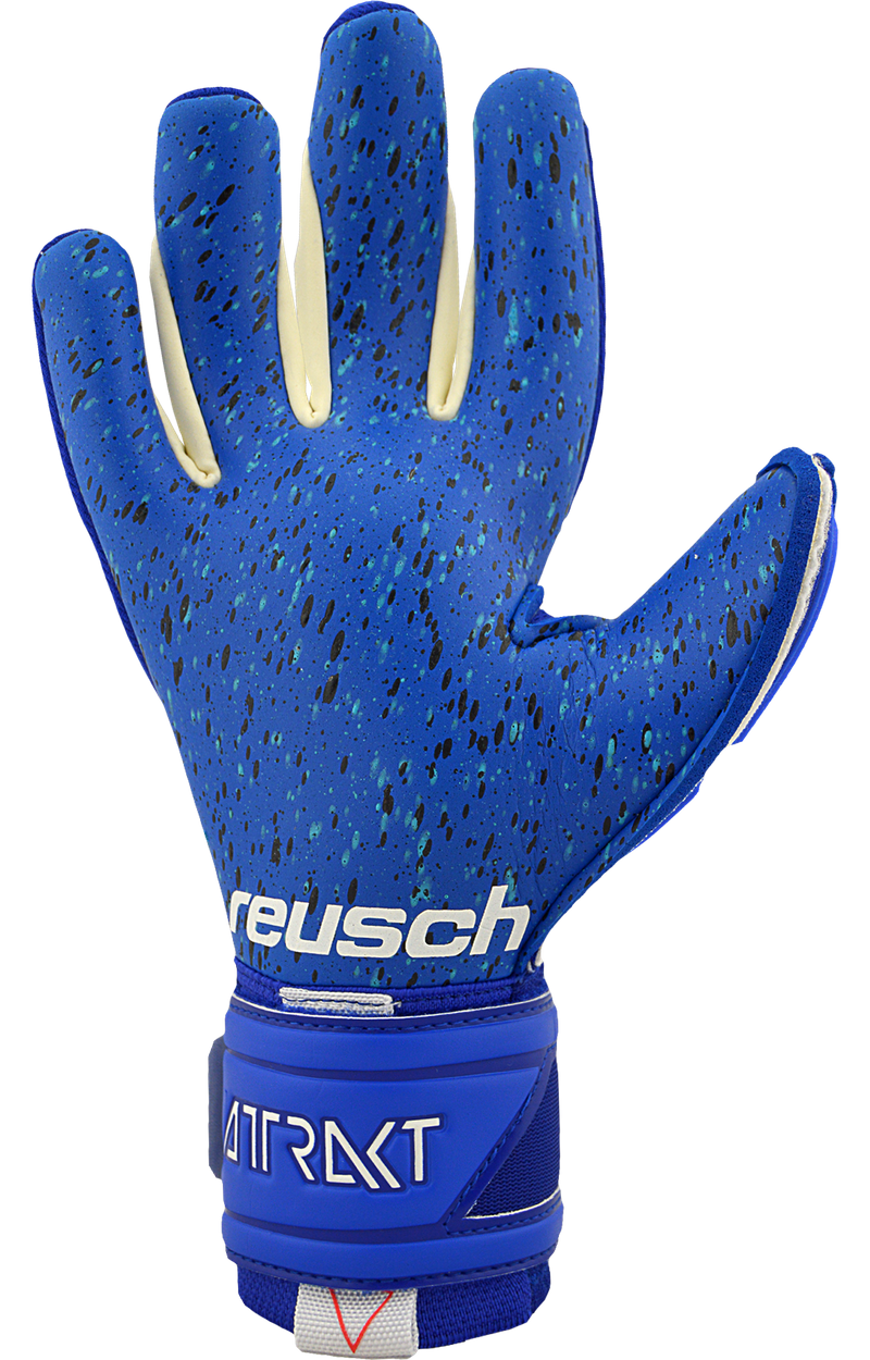 Reusch fit control deluxe g3 2024 fusion evolution